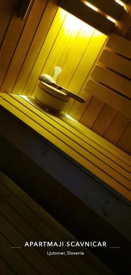 Apartments And Wellness Scavnicar Лютомер Экстерьер фото