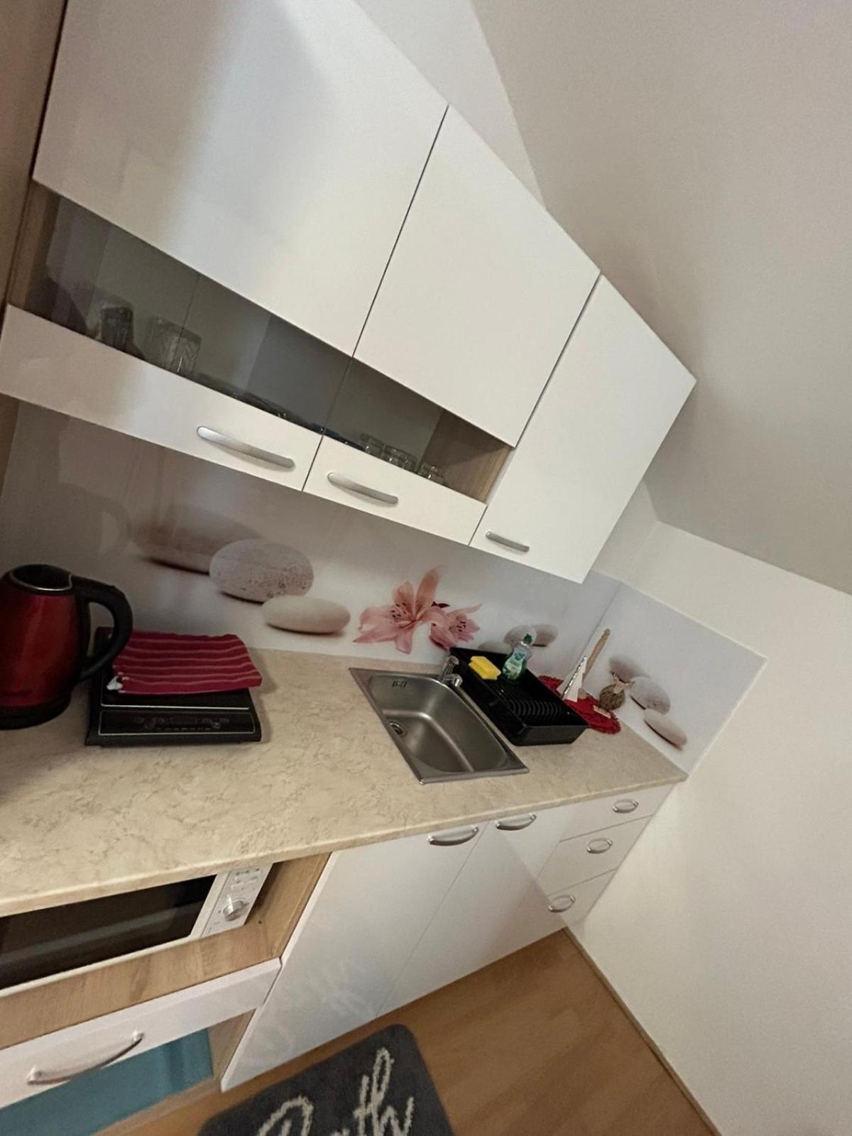Apartments And Wellness Scavnicar Лютомер Экстерьер фото
